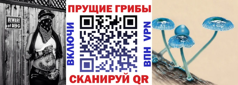 kraken ссылки  Скопин  Псилоцибиновые грибы Psilocybe  закладки 